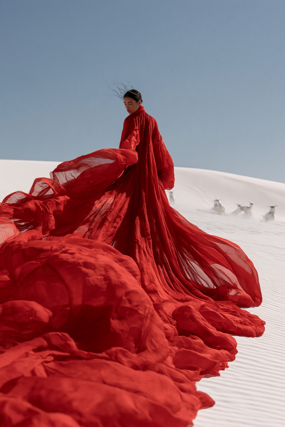 Variation 2 of 4 from one Midjourney V8 run: crimson gown on white dunes