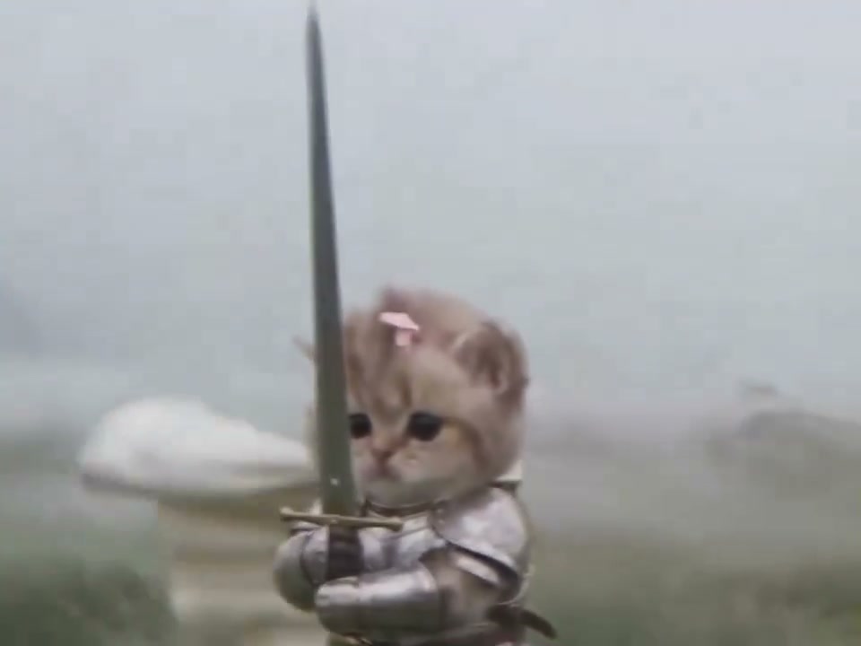 Knight Cat AI Video AI photo example 2 created with imageat